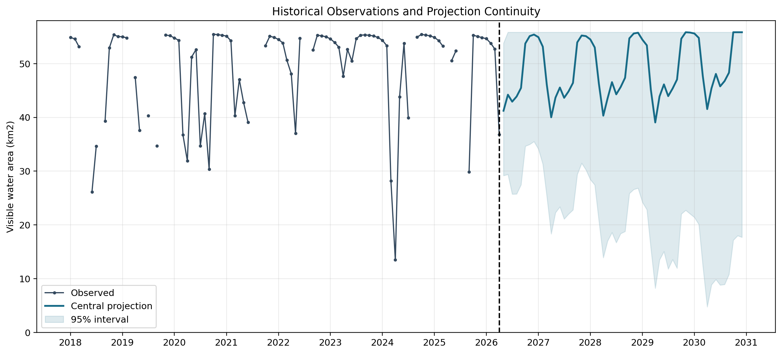 Historical observations connected to central projection